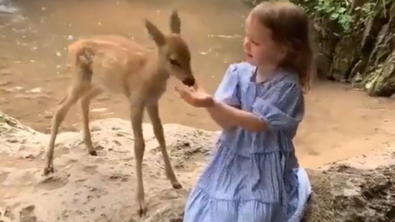 Videoja e vogëlushes që ushqen kafshën do t’ju bëjë të shkriheni së qeshuri