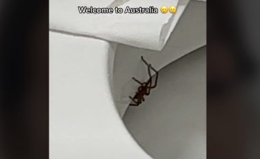 Australiania tronditet pasi qëndroi 20 minuta në guaskën e tualetit dhe nuk kishte vërejtur merimangën e fshehur
