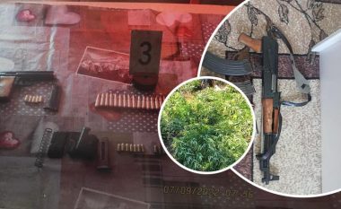 Aksioni policor në Pejë dhe Mitrovicë – 11 të arrestuar, sekuestrim i armëve e bimëve narkotike