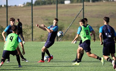 Grumbullohet Kosova U-19, Krasniqi: Shumica e futbollistëve nga Diaspora i janë përgjigjur ftesës