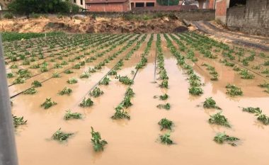 Pamje nga vërshimet në Krushë të Madhe, dëme të konsiderueshme edhe në bujqësi