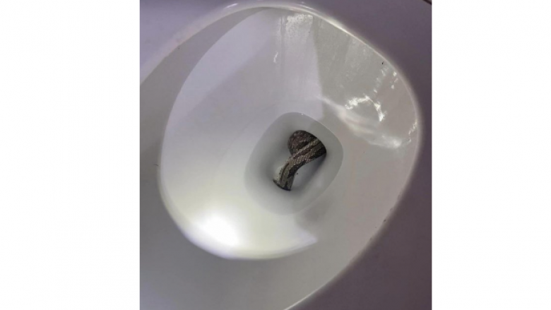 Burri në Alabama telefonon policinë kur gjen një gjarpër në tualet