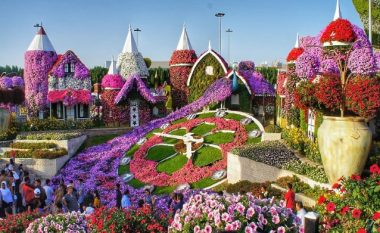 Në Dubai gjendet kopshti më i madh në botë, janë të mbjellura mbi 150 milionë lule