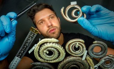 Tri lloje të reja gjarpërinjsh janë zbuluar në varreza: Zvarranikët më misteriozë në botë fshihen thellë në tokë