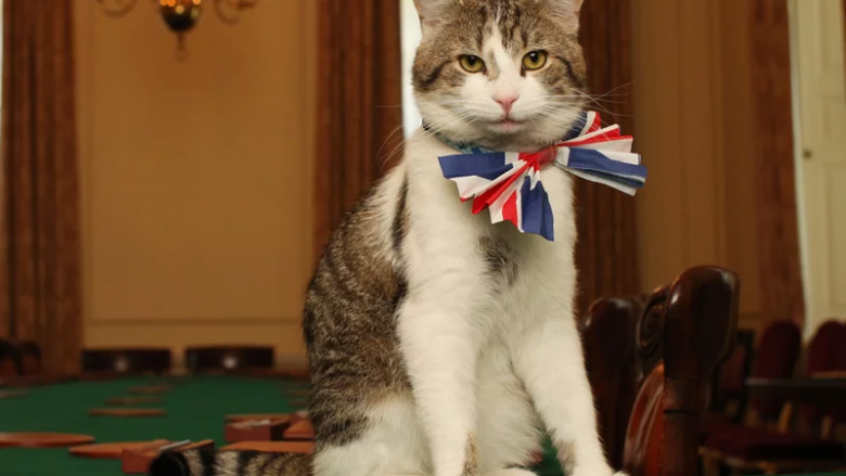 Macja Larry tejkalon me jetëgjatësi edhe kryeministrin e katërt të Mbretërisë së Bashkuar