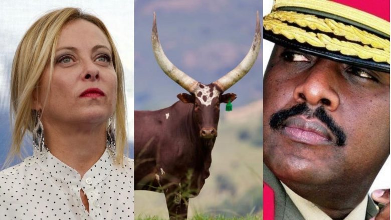 “100 lopë për kryeministren e ardhshme italiane” – djali i presidentit të Ugandës i propozon martesë Giorgia Melonit
