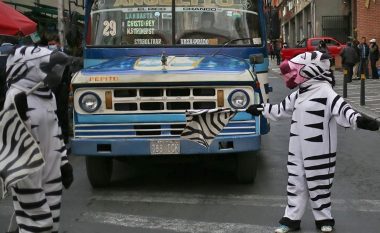Kostume zebra për edukim rrugor në Bolivi