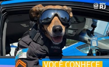 Qeni i policisë braziliane është bërë sensacion në internet