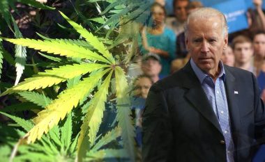 Biden bëri një hap drejt legalizimit të marihuanës në SHBA: Njerëzit nuk duhet të jenë në burg për të