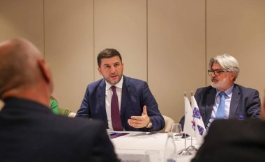 PDK nikoqire e Partive Liberale: Miratojnë Deklaratën në mbështetje të liberalizimit të vizave dhe statusit kandidat për Kosovën