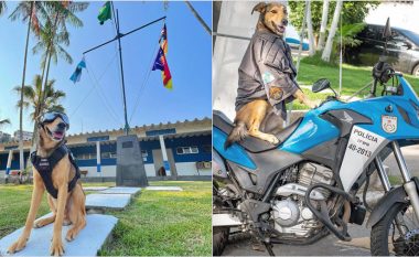 Qeni i policisë braziliane është bërë sensacion në internet