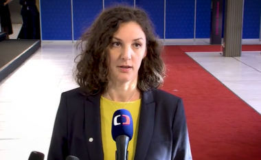Rizvanolli: Shpresoj që masat e BE-së për menaxhimin e krizës energjetike ta përfshijnë edhe Kosovën