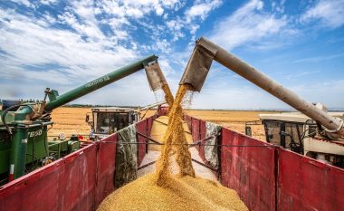 Rriten shqetësimet rreth furnizimit me ushqim në botë, pas pezullimit të marrëveshjes për grurin nga Rusia