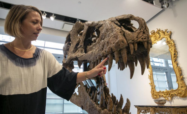 Kafka e një dinosauri të zbuluar në Dakotën e Jugut pritet të shitet për 15 milionë dollarë
