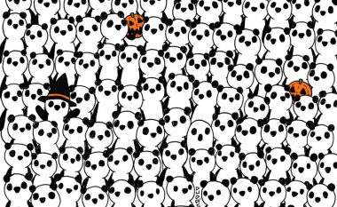 Gjeni fantazmat midis pandave: Enigma e cila vërtet do t’ju mundojë shumë