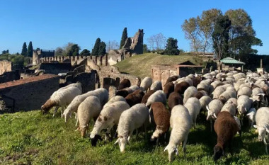 Dele për të shpëtuar Pompein