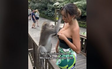 Majmuni nuk reziston – u përpoq t’ia zhvishte bluzën modeles peruane