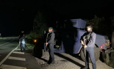 Ndalohen dy rus në Jarinje