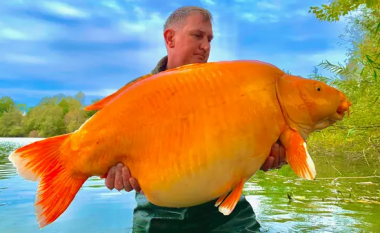 Britaniku zuri peshkun gjigant të artë gjatë pushimeve në Francë