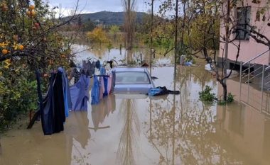 Përmbytjet në Shkodër e Lezhë po lenë pas dëme të shumta në bujqësi