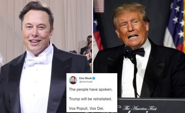 Trump fiton 25 milionë ndjekës në Twitter gjatë natës ndërsa Elon Musk rikthen llogarinë e tij