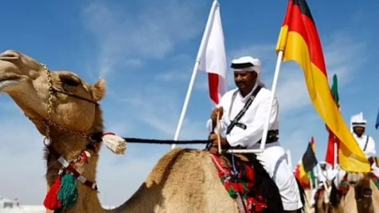 Katari po organizon konkursin botëror “Miss Deveja”, nuk lejohen ndërhyrjet estetike te kafshët