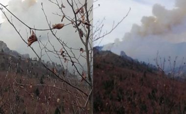 Zjarr në malin e Drenovës, flakët përfshijnë zonën e mbrojtur