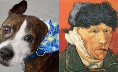 Qeni i shpëtuar i quajtur Van Gogh krijon art me gjuhën e tij
