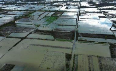 Mbi 1,600 hektarë tokë e përmbytur në Shkodër, 26 familje janë evakuuar