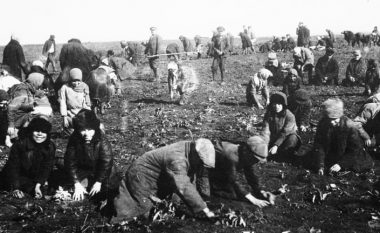 Ligjvënësit gjerman pritet ta shpallin gjenocid urinë e vitit 1930 në Ukrainë