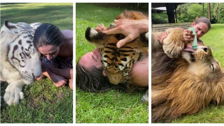 Ky njeri është një Tarzan – jeton me tigrat dhe luanët