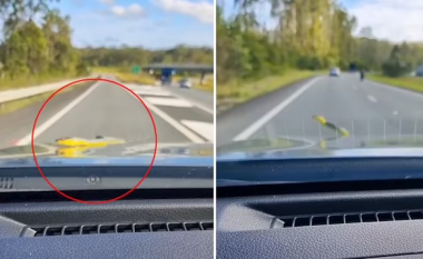 Momenti i frikshëm kur një gjarpër zvarritet mbi pjesën e përparme të një veture në autostradë