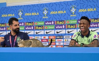 Macja futet në konferencë për shtyp të Brazilit, zëdhënësi e hodhi nga tavolina dhe e befasoi Viniciusin