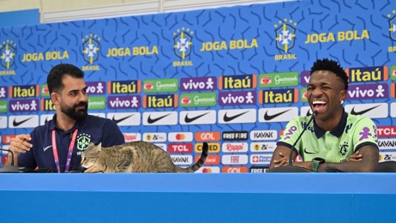 Macja futet në konferencë për shtyp të Brazilit, zëdhënësi e hodhi nga tavolina dhe e befasoi Viniciusin