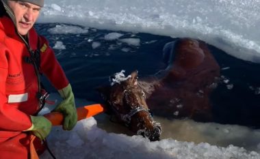 Banorët e Wisconsin shpëtojnë kalin që përfundoi në ujin e liqenit të ngrirë