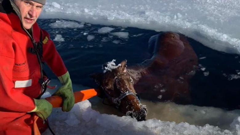 Banorët e Wisconsin shpëtojnë kalin që përfundoi në ujin e liqenit të ngrirë