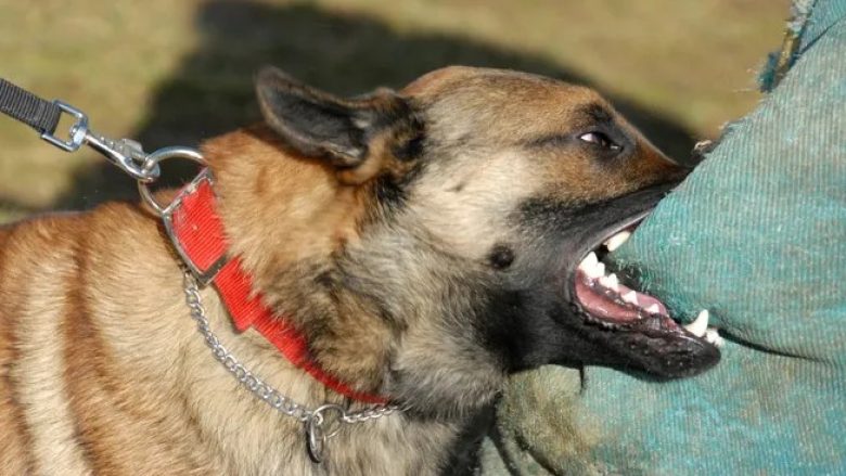 Arrestohet gjakovari, pasi qeni i tij kafshoi një të mitur