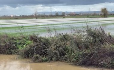 Situata e reshjeve në Shqipëri, ende qindra hektarë tokë nën ujë