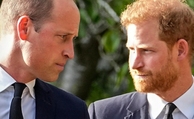 Në dokumentarin e ri, Princi Harry thotë se u qortua nga Williami në momentin kur njoftoi se po largohej nga jeta mbretërore