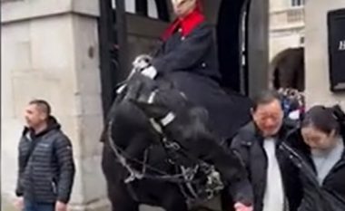 Turisti mbeti i shtangur pasi kali i Gardës së Mbretit në Londër iu afrua duke e kafshuar lehtësisht