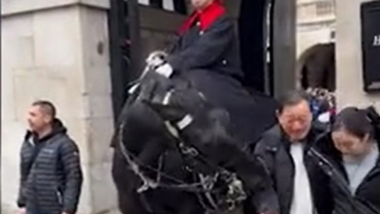 Turisti mbeti i shtangur pasi kali i Gardës së Mbretit në Londër iu afrua duke e kafshuar lehtësisht