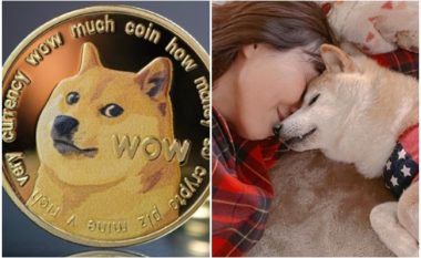 Qeni Shiba inu që frymëzoi kriptovalutën Dogecoin, raportohet se ka leukemi