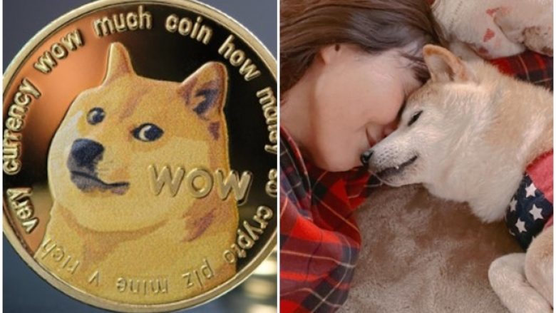 Qeni Shiba inu që frymëzoi kriptovalutën Dogecoin, raportohet se ka leukemi
