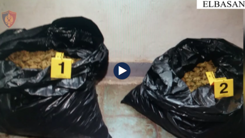 Po transportonin 10 kg drogë nga Korça në Elbasan, arrestohen tre persona, mes tyre një vajzë