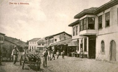 Mitrovica gjatë dy shekujve të parë osman: Të dhënat për infrastrukturën dhe demografinë