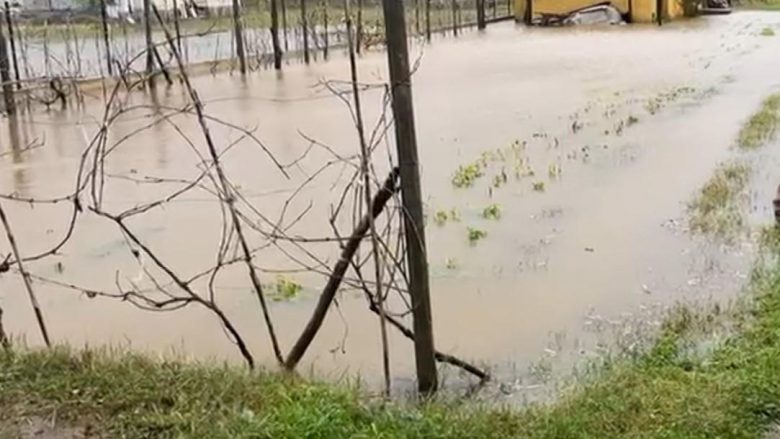 Përmirësohet situata nga përmbytjet në Shqipëri, nuk ka rrezik për zonat e banuara