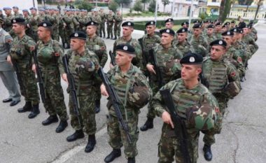 ​110 vjetori i krijimit Forcave të Armatosura në Shqipëri