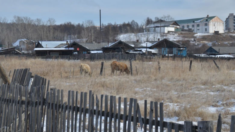 “Po ngordhim si miza”: Rrëfimi i banorëve të fshatit rus që po përballet me mungesë burrash