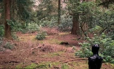 A mund ta gjeni snajperistin në pyll, autori i videos sfidon të gjithë
