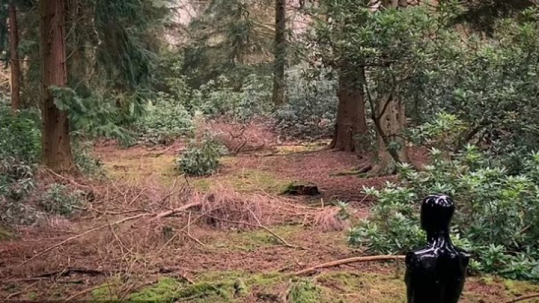 A mund ta gjeni snajperistin në pyll, autori i videos sfidon të gjithë